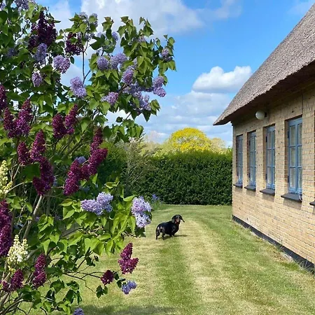 Vakantiehuis Sb50639-augustenborg-graeskobbel-8